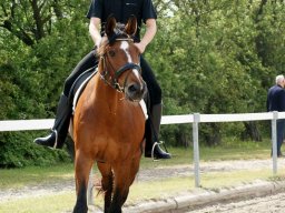 292559_10150929543623585_864877405_n_web